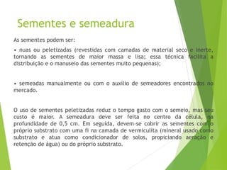 Sementes e semeadura
As sementes podem ser:
• nuas ou peletizadas (revestidas com camadas de material seco e inerte,
tornando as sementes de maior massa e lisa; essa técnica facilita a
distribuição e o manuseio das sementes muito pequenas);
• semeadas manualmente ou com o auxílio de semeadores encontrados no
mercado.
O uso de sementes peletizadas reduz o tempo gasto com o semeio, mas seu
custo é maior. A semeadura deve ser feita no centro da célula, na
profundidade de 0,5 cm. Em seguida, devem-se cobrir as sementes com o
próprio substrato com uma fi na camada de vermiculita (mineral usado como
substrato e atua como condicionador de solos, propiciando aeração e
retenção de água) ou do próprio substrato.
 