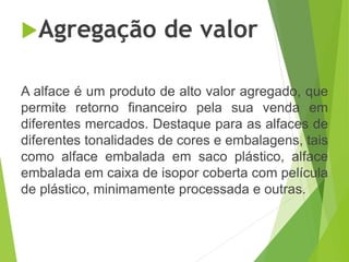 Agregação de valor
A alface é um produto de alto valor agregado, que
permite retorno financeiro pela sua venda em
diferentes mercados. Destaque para as alfaces de
diferentes tonalidades de cores e embalagens, tais
como alface embalada em saco plástico, alface
embalada em caixa de isopor coberta com película
de plástico, minimamente processada e outras.
 