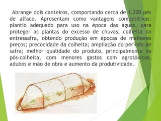 Abrange dois canteiros, comportando cerca de 1.200 pés
de alface. Apresentam como vantagens competitivas:
plantio adequado para uso na época das águas, para
proteger as plantas do excesso de chuvas; colheita na
entressafra, obtendo produção em épocas de melhores
preços; precocidade da colheita; ampliação do período de
safra; melhor qualidade do produto, principalmente na
pós-colheita, com menores gastos com agrotóxicos,
adubos e mão de obra e aumento da produtividade.
 