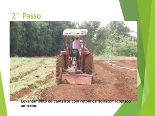 2° Passo
Levantamento de canteiros com rotoencanteirador acoplado
ao trator
 