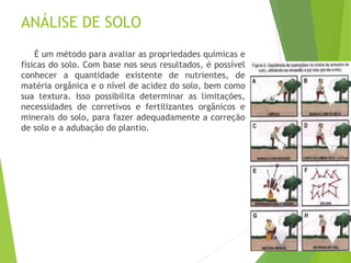 ANÁLISE DE SOLO
É um método para avaliar as propriedades químicas e
físicas do solo. Com base nos seus resultados, é possível
conhecer a quantidade existente de nutrientes, de
matéria orgânica e o nível de acidez do solo, bem como
sua textura. Isso possibilita determinar as limitações,
necessidades de corretivos e fertilizantes orgânicos e
minerais do solo, para fazer adequadamente a correção
de solo e a adubação do plantio.
 