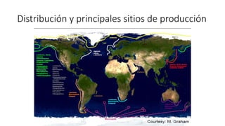 Distribución y principales sitios de producción
 
