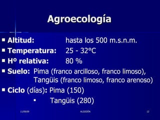 Agroecología  Altitud:  hasta los 500 m.s.n.m. Temperatura:  25 - 32°C  Hº relativa: 80   % Suelo:  Pima  (franco arcilloso, franco limoso),  Tangüis  (franco limoso, franco arenoso) Ciclo  (días) :  Pima (150) Tangüis (280) 11/09/09 ALGODÓN 