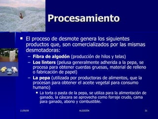 Procesamiento El proceso de desmote genera los siguientes productos que, son comercializados por las mismas desmotadoras:  Fibra de algodón  (producción de hilos y telas) Los linters  (pelusa generalmente adherida a la pepa, se procesa para obtener cuerdas gruesas, material de relleno o fabricación de papel) La pepa  (utilizada por productoras de alimentos, que la procesan para obtener el aceite vegetal para consumo humano) La torta o pasta de la pepa, se utiliza para la alimentación de ganado, la cáscara se aprovecha como forraje crudo, cama para ganado, abono y combustible. 11/09/09 ALGODÓN 