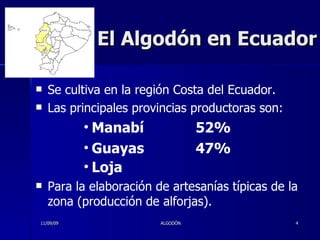 El Algodón en Ecuador Se cultiva en la región Costa del Ecuador. Las principales provincias productoras son: Manabí  52% Guayas  47% Loja   Para la elaboración de artesanías típicas de la zona (producción de alforjas). 11/09/09 ALGODÓN 