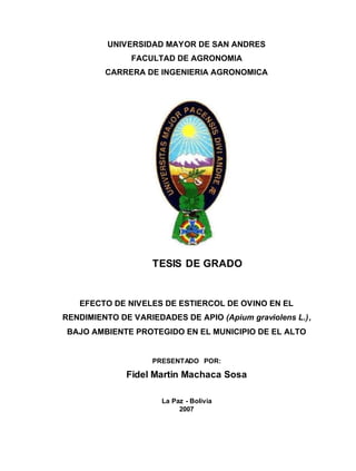 UNIVERSIDAD MAYOR DE SAN ANDRES
FACULTAD DE AGRONOMIA
CARRERA DE INGENIERIA AGRONOMICA
TESIS DE GRADO
EFECTO DE NIVELES DE ESTIERCOL DE OVINO EN EL
RENDIMIENTO DE VARIEDADES DE APIO (Apium graviolens L.),
BAJO AMBIENTE PROTEGIDO EN EL MUNICIPIO DE EL ALTO
PRESENTADO POR:
Fidel Martin Machaca Sosa
La Paz - Bolivia
2007
 