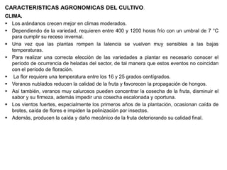 CARACTERISTICAS AGRONOMICAS DEL CULTIVO.
CLIMA.
 Los arándanos crecen mejor en climas moderados.
 Dependiendo de la variedad, requieren entre 400 y 1200 horas frío con un umbral de 7 °C
para cumplir su receso invernal.
 Una vez que las plantas rompen la latencia se vuelven muy sensibles a las bajas
temperaturas.
 Para realizar una correcta elección de las variedades a plantar es necesario conocer el
período de ocurrencia de heladas del sector, de tal manera que estos eventos no coincidan
con el período de floración.
 La flor requiere una temperatura entre los 16 y 25 grados centígrados.
 Veranos nublados reducen la calidad de la fruta y favorecen la propagación de hongos.
 Así también, veranos muy calurosos pueden concentrar la cosecha de la fruta, disminuir el
sabor y su firmeza, además impedir una cosecha escalonada y oportuna.
 Los vientos fuertes, especialmente los primeros años de la plantación, ocasionan caída de
brotes, caída de flores e impiden la polinización por insectos.
 Además, producen la caída y daño mecánico de la fruta deteriorando su calidad final.
 