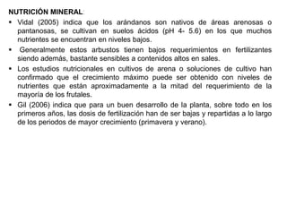NUTRICIÓN MINERAL:
 Vidal (2005) indica que los arándanos son nativos de áreas arenosas o
pantanosas, se cultivan en suelos ácidos (pH 4- 5.6) en los que muchos
nutrientes se encuentran en niveles bajos.
 Generalmente estos arbustos tienen bajos requerimientos en fertilizantes
siendo además, bastante sensibles a contenidos altos en sales.
 Los estudios nutricionales en cultivos de arena o soluciones de cultivo han
confirmado que el crecimiento máximo puede ser obtenido con niveles de
nutrientes que están aproximadamente a la mitad del requerimiento de la
mayoría de los frutales.
 Gil (2006) indica que para un buen desarrollo de la planta, sobre todo en los
primeros años, las dosis de fertilización han de ser bajas y repartidas a lo largo
de los periodos de mayor crecimiento (primavera y verano).
 