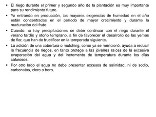  El riego durante el primer y segundo año de la plantación es muy importante
para su rendimiento futuro.
 Ya entrando en producción, las mayores exigencias de humedad en el año
están concentradas en el período de mayor crecimiento y durante la
maduración del fruto.
 Cuando no hay precipitaciones se debe continuar con el riego durante el
verano tardío y otoño temprano, a fin de favorecer el desarrollo de las yemas
de flor, que han de fructificar en la temporada siguiente.
 La adición de una cobertura o mulching, como ya se mencionó, ayuda a reducir
la frecuencia de riegos, en tanto protege a las jóvenes raíces de la excesiva
evaporación del agua y del incremento de temperatura durante los días
calurosos.
 Por otro lado el agua no debe presentar excesos de salinidad, ni de sodio,
carbonatos, cloro o boro.
 