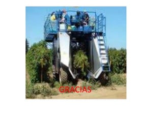 GRACIAS
 
