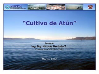 “Cultivo de Atún”


            Ponente:
  Ing. Mg. Nicolás Hurtado T:.
     Presidente ASOPPAC PERU



          Marzo, 2008
 