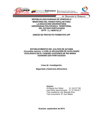REPÚBLICA BOLIVARIANA DE VENEZUELA
MINISTERIO DEL PODER POPULAR PARA
LA EDUCACIÓN UNIVERSITARIA
UNIVERSIDAD POLITÉCNICA TERRITORIAL
DEL ESTADO PORTUGUESA
UPTP “J.J. MONTILLA”
UNIDAD DE PROYECTO FORMATIVO UPF
ESTABLECIMIENTO DEL CULTIVO DE AUYAMA
(Cucúrbita máxima. L) CON LA APLICACIÓN DE ACOLCHADO
ECOLÓGICO EN EL CASERÍO COSTEÑOS DE RIO MARÍA
GUANARE EDO PORTUGUESA
Línea de investigación.
Seguridad y Soberanía Alimentaria
Guanare, septiembre de 2014
Autores:
Gil Mujica Ana Yelitza C.I. 24.017.748
Leal Patiño Jesús Eduardo C.I. 21.023.811
Tutor académico: Ing. Marbella Arias
Tutor comunitario: Sr. Auro Mejías
 