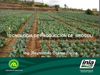 •Instituto Nacional de
Innovación Agraria
•MINISTERIO DE AGRICULTURA
Ing. Reymundo Cosme Cerna
TECNOLOGIA DE PRODUCCIÓN DE BRÓCOLI
 