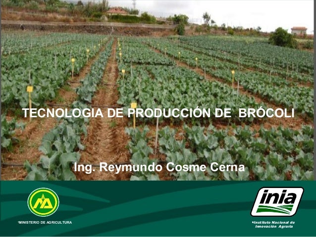 Abonado en el cultivo de melocotonero