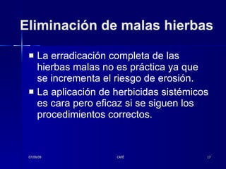 Eliminación de malas hierbas La erradicación completa de las hierbas malas no es práctica ya que se incrementa el riesgo de erosión.  La aplicación de herbicidas sistémicos es cara pero eficaz si se siguen los procedimientos correctos.  07/09/09 CAFÉ 