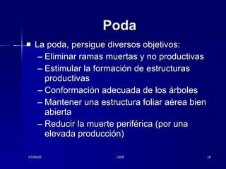 Poda La poda, persigue diversos objetivos: Eliminar ramas muertas y no productivas  Estimular la formación de estructuras productivas  Conformación adecuada de los árboles  Mantener una estructura foliar aérea bien abierta Reducir la muerte periférica (por una elevada producción)  07/09/09 CAFÉ 