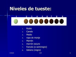 Niveles de tueste: Rubio Canela Medio ropa de monje Marrón marrón oscuro francés (o seminegro) italiano (negro) 07/09/09 CAFÉ 1  2  3  4  5  6  7  8  9  