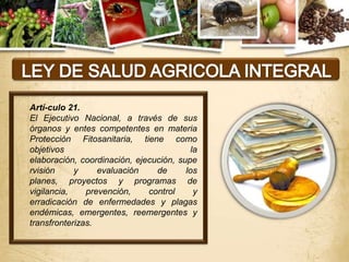 Artí-culo 21.
El Ejecutivo Nacional, a través de sus
órganos y entes competentes en materia
Protección Fitosanitaria, tiene como
objetivos                                 la
elaboración, coordinación, ejecución, supe
rvisión     y     evaluación    de      los
planes, proyectos y programas de
vigilancia,    prevención,    control      y
erradicación de enfermedades y plagas
endémicas, emergentes, reemergentes y
transfronterizas.
 