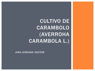 JARA SORIANO HECTOR
CULTIVO DE
CARAMBOLO
(AVERROHA
CARAMBOLA L.)
 