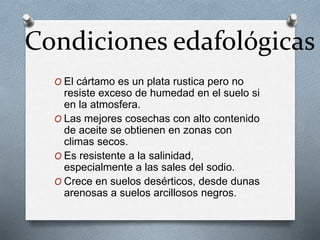 Condiciones edafológicas 
O El cártamo es un plata rustica pero no 
resiste exceso de humedad en el suelo si 
en la atmosfera. 
O Las mejores cosechas con alto contenido 
de aceite se obtienen en zonas con 
climas secos. 
O Es resistente a la salinidad, 
especialmente a las sales del sodio. 
O Crece en suelos desérticos, desde dunas 
arenosas a suelos arcillosos negros. 
 