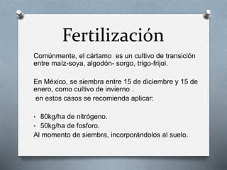 Fertilización 
Comúnmente, el cártamo es un cultivo de transición 
entre maíz-soya, algodón- sorgo, trigo-frijol. 
En México, se siembra entre 15 de diciembre y 15 de 
enero, como cultivo de invierno . 
en estos casos se recomienda aplicar: 
• 80kg/ha de nitrógeno. 
• 50kg/ha de fosforo. 
Al momento de siembra, incorporándolos al suelo. 
 