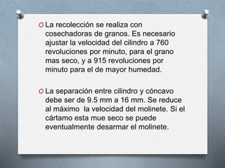 O La recolección se realiza con 
cosechadoras de granos. Es necesario 
ajustar la velocidad del cilindro a 760 
revoluciones por minuto, para el grano 
mas seco, y a 915 revoluciones por 
minuto para el de mayor humedad. 
O La separación entre cilindro y cóncavo 
debe ser de 9.5 mm a 16 mm. Se reduce 
al máximo la velocidad del molinete. Si el 
cártamo esta mue seco se puede 
eventualmente desarmar el molinete. 
 