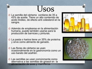 Usos 
O La semilla del cártamo contiene de 35 a 
43% de aceite. Tiene un alto contenido de 
acido linóleo, de efecto anti colesterol en la 
sangre. 
O Además de emplearse en la alimentación 
humana, puede también usarse para la 
producción de barnices y pinturas. 
O La pasta o harina tiene un 35% de proteína 
y sirve como alimento de ganado. 
O Las flores de cártamo se usan 
ocasionalmente en la gastronomía como un 
uso barato del azafrán. 
O Las semillas se usan comúnmente como 
alternativa a las semillas de girasol en la 
alimentación de aves y mamíferos. 
 