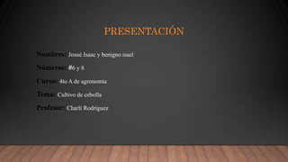 PRESENTACIÓN
Nombres: Josué Isaac y benigno isael
Números: #6 y 8
Curso: 4to A de agronomía
Tema: Cultivo de cebolla
Profesor: Charli Rodríguez
 