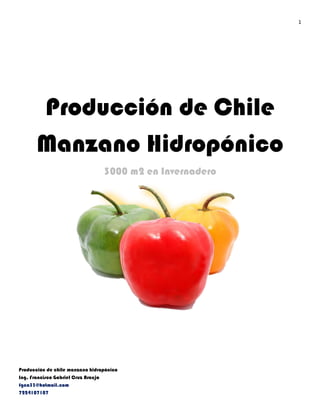 1
Producción de chile manzano hidropónico
Ing. Francisco Gabriel Cruz Araujo
fgca33@hotmail.com
7224107107
Producción de Chile
Manzano Hidropónico
3000 m2 en Invernadero
 