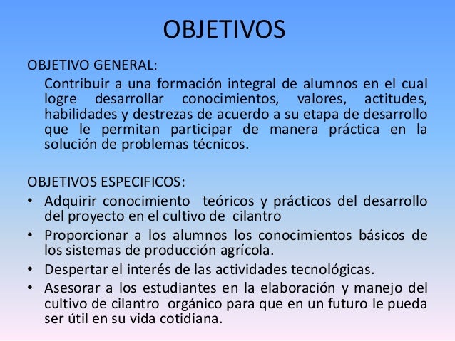 Fases De Cultivo De Lechuga En Sistema De Cultivo Hidropnico Fases De Cultivo De Lechuga En Sistema De Cultivo Hidropnico
