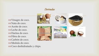 Cultivo de coco