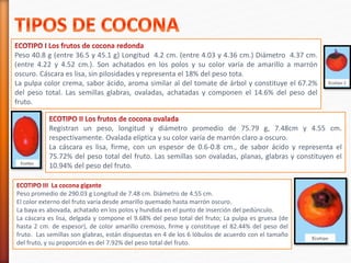 Peso 40.8 g (entre 36.5 y 45.1 g) Longitud 4.2 cm. (entre 4.03 y 4.36 cm.) Diámetro 4.37 cm. 
(entre 4.22 y 4.52 cm.). Son achatados en los polos y su color varía de amarillo a marrón 
oscuro. Cáscara es lisa, sin pilosidades y representa el 18% del peso tota. 
La pulpa color crema, sabor ácido, aroma similar al del tomate de árbol y constituye el 67.2% 
del peso total. Las semillas glabras, ovaladas, achatadas y componen el 14.6% del peso del 
fruto. 
Registran un peso, longitud y diámetro promedio de 75.79 g, 7.48cm y 4.55 cm. 
respectivamente. Ovalada elíptica y su color varía de marrón claro a oscuro. 
La cáscara es lisa, firme, con un espesor de 0.6-0.8 cm., de sabor ácido y representa el 
75.72% del peso total del fruto. Las semillas son ovaladas, planas, glabras y constituyen el 
10.94% del peso del fruto. 
Peso promedio de 290.03 g Longitud de 7.48 cm. Diámetro de 4.55 cm. 
El color externo del fruto varía desde amarillo quemado hasta marrón oscuro. 
La baya es abovada, achatado en los polos y hundida en el punto de inserción del pedúnculo. 
La cáscara es lisa, delgada y compone el 9.68% del peso total del fruto; La pulpa es gruesa (de 
hasta 2 cm. de espesor), de color amarillo cremoso, firme y constituye el 82.44% del peso del 
fruto. Las semillas son glabras, están dispuestas en 4 de los 6 lóbulos de acuerdo con el tamaño 
del fruto, y su proporción es del 7.92% del peso total del fruto. 
 