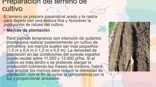 Preparación del terreno de
cultivo
El terreno se prepara pasando el arado y la rastra
para dejarlo con una textura fina y favorecer la
producción de raíces del cultivo.
• Marcos de plantación
Para cultivos tempranos con intención de quitarlos
pronto para realizar posteriormente un cultivo de
primavera, los marcos suelen ser más pequeños
(1,5 m x 0,4 m ó 1,2 m x 0,5 m). La densidad de
plantación en las condiciones del sureste español
puede oscilar entre 11.000 y 13.000 pl/ha. Si el
cultivo es más tardío o se pretende alargar la
producción cubriendo los meses de invierno, habrá
que ampliar los marcos para reducir la densidad de
plantación, con el fin de evitar la competencia por la
luz y proporcionar aireación.
 