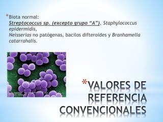 *
*Biota normal:
Streptococcus sp. (excepto grupo “A”), Staphylococcus
epidermidis,
Neisserias no patógenas, bacilos difteroides y Branhamella
catarrahalis.
 