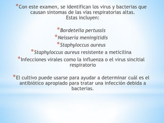 *Con este examen, se identifican los virus y bacterias que
causan síntomas de las vías respiratorias altas.
Estas incluyen:
*Bordetella pertussis
*Neisseria meningitidis
*Staphyloccus aureus
*Staphyloccus aureus resistente a meticilina
*Infecciones virales como la influenza o el virus sincitial
respiratorio
*El cultivo puede usarse para ayudar a determinar cuál es el
antibiótico apropiado para tratar una infección debida a
bacterias.
 