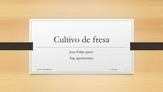 Cultivo de fresa
Juan Felipe prieto
Ing. agrornomica
17/05/2016JUAN FELI PRIETO 1
 