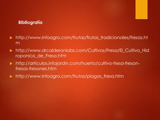 Bibliografía
 http://www.infoagro.com/frutas/frutas_tradicionales/fresas.ht
m
 http://www.drcalderonlabs.com/Cultivos/Fresa/El_Cultivo_Hid
roponico_de_Fresa.htm
 http://articulos.infojardin.com/huerto/cultivo-fresa-freson-
fresas-fresones.htm
 http://www.infoagro.com/frutas/plagas_fresa.htm
 