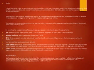  Suelo
La influencia del suelo, su estructura física y contenido químico es una de las bases para el desarrollo del fresón. Éste
prefiere suelos equilibrados, ricos en materia orgánica, aireados, bien drenados, pero con cierta capacidad de
retención de agua.
El equilibrio químico de los elementos nutritivos se considera más favorable que una riqueza elevada de los mismos.
Niveles bajos de patógenos son igualmente indispensables para el cultivo.
En definitiva, un suelo catalogado como arenoso o franco-arenoso y homogéneamente profundo se acercaría al
ideal para nuestro cultivo.
En cuanto a las características físico-químicas que debe reunir el suelo de un fresal se tiene:
 pH: la fresa soporta bien valores entre 6 y 7. Situándose el óptimo en torno a 6,5 e incluso menor.
 Materia orgánica: serían deseables niveles del 2 al 3%
 C/N: 10 se considera un valor adecuado para la relación carbono/nitrógeno, con ello se asegura una buena
evolución
 de la materia orgánica aplicada al suelo.
 Sales totales: hemos de evitar suelos salinos, con concentraciones de sales que originen Conductividad Eléctrica en
extracto saturado superiores a 1mmhos.cm puede empezar a registrarse disminución en la producción de fruta.
 Caliza activa: el fresón es muy sensible a la presencia de caliza activa, sobre todo a niveles superiores al 5%. Valores
superiores provocan el bloqueo del Hierre y la clorosis consecuente
Agua de riego
La fresa es un cultivo muy exigente tanto en las cantidades de agua, muy repartidas y suficientes a lo largo del
cultivo, como en la calidad que presente ésta. El cultivo se resiente, disminuyendo su rendimiento, con
concentraciones de sales en el agua superiores a 0,8 mmhos.cm
 