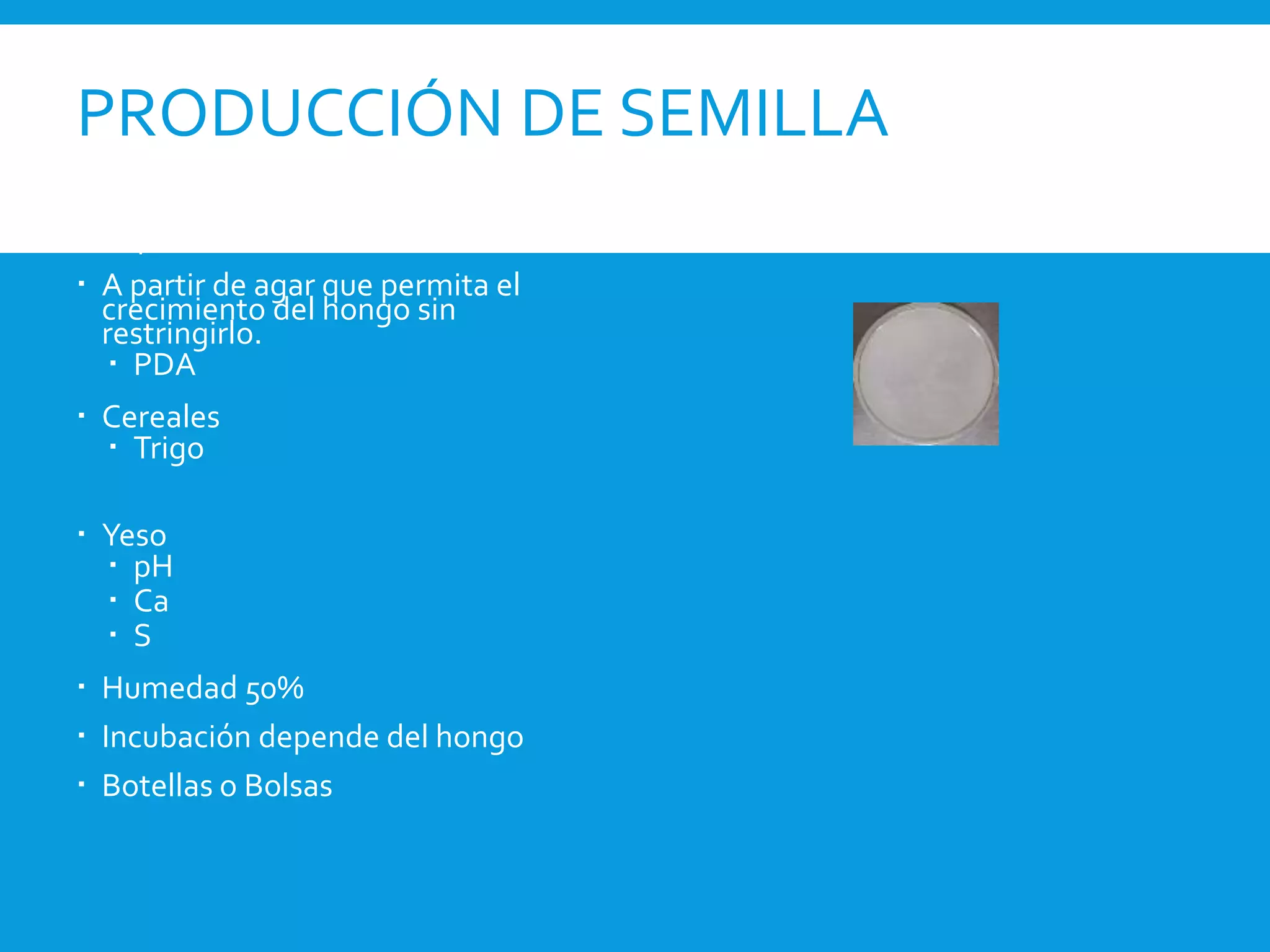 PRODUCCIÓN DE SEMILLA
 Líquida o Sólido
 A partir de agar que permita el
crecimiento del hongo sin
restringirlo.
 PDA
 Cereales
 Trigo
 Yeso
 pH
 Ca
 S
 Humedad 50%
 Incubación depende del hongo
 Botellas o Bolsas
 