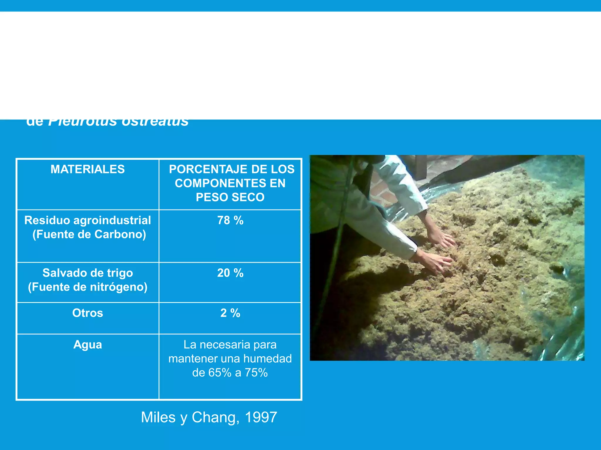 Mezcla de los materiales que conformaran el sustrato de
crecimiento
MATERIALES PORCENTAJE DE LOS
COMPONENTES EN
PESO SECO
Residuo agroindustrial
(Fuente de Carbono)
78 %
Salvado de trigo
(Fuente de nitrógeno)
20 %
Otros 2 %
Agua La necesaria para
mantener una humedad
de 65% a 75%
Formulación del sustrato para el cultivo
de Pleurotus ostreatus
Miles y Chang, 1997
 