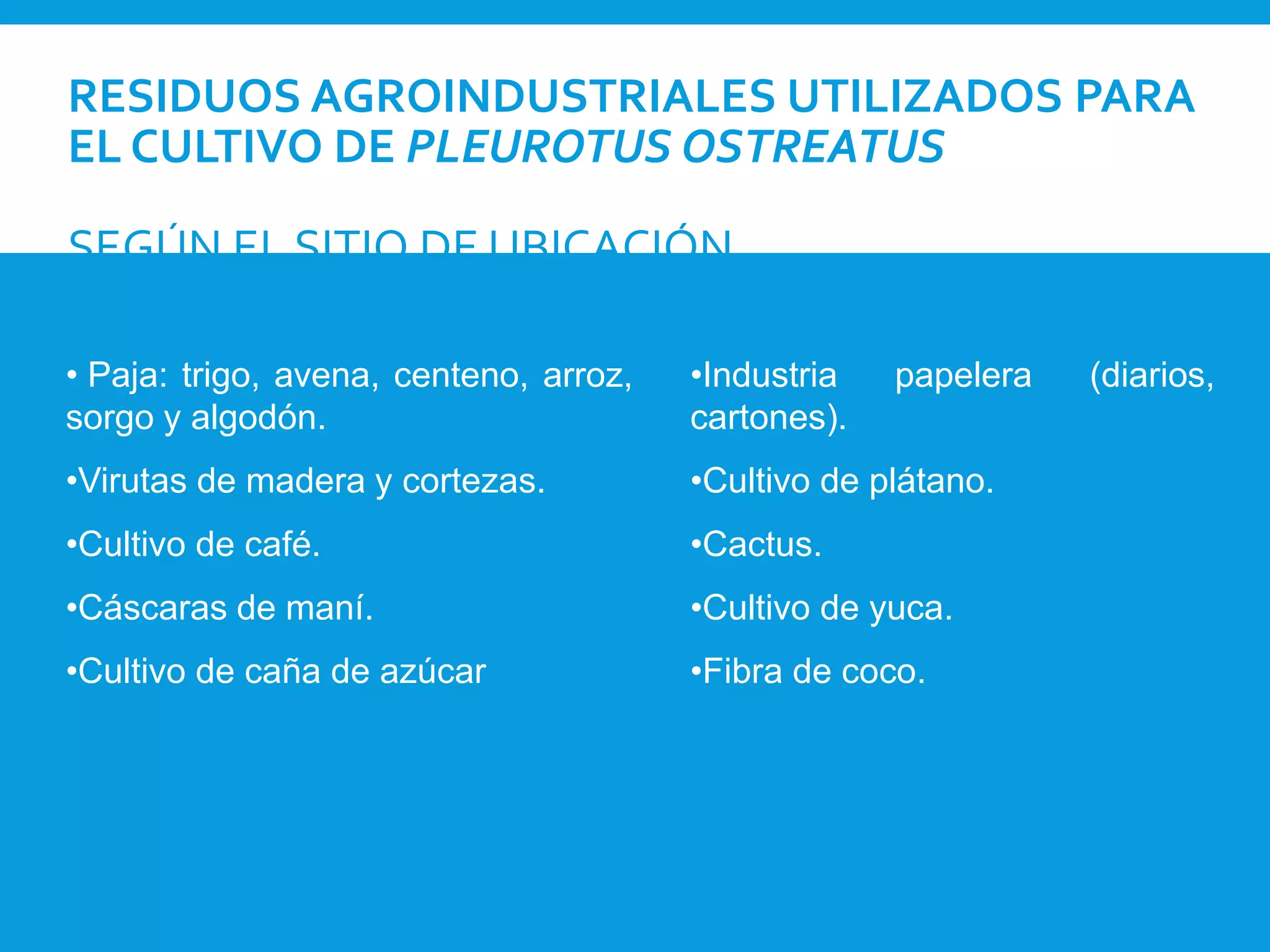 RESIDUOS AGROINDUSTRIALES UTILIZADOS PARA
EL CULTIVO DE PLEUROTUS OSTREATUS
SEGÚN EL SITIO DE UBICACIÓN
• Paja: trigo, avena, centeno, arroz,
sorgo y algodón.
•Virutas de madera y cortezas.
•Cultivo de café.
•Cáscaras de maní.
•Cultivo de caña de azúcar
•Industria papelera (diarios,
cartones).
•Cultivo de plátano.
•Cactus.
•Cultivo de yuca.
•Fibra de coco.
 
