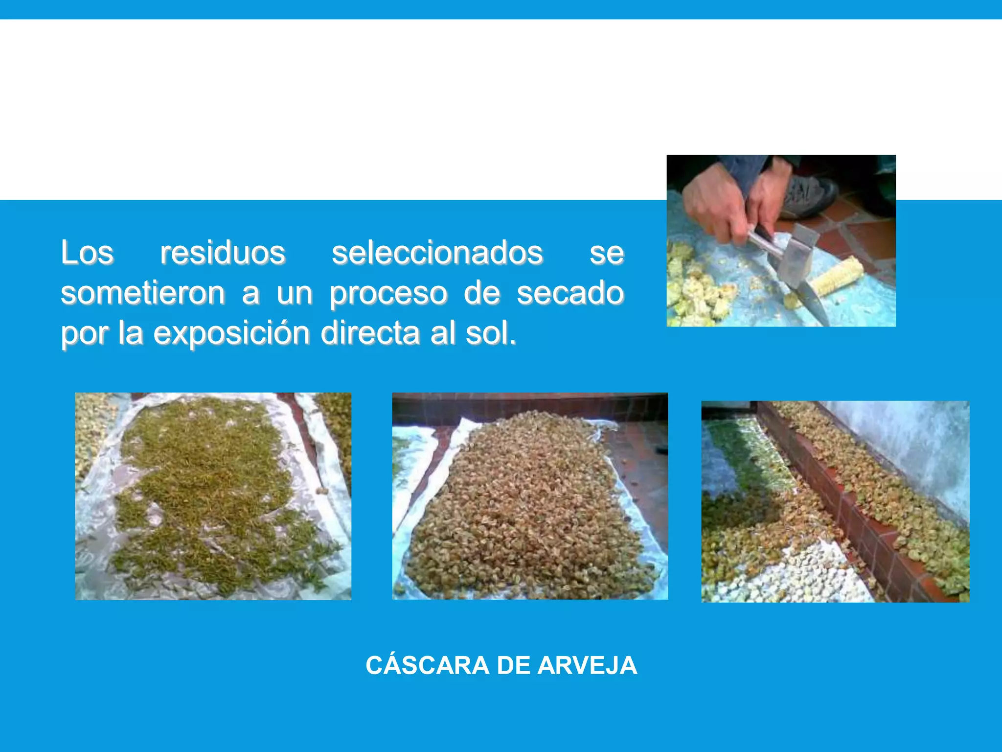 Deshidratación y adecuación de los residuos
Los residuos seleccionados se
sometieron a un proceso de secado
por la exposición directa al sol.
CÁSCARA DE ARVEJA
 