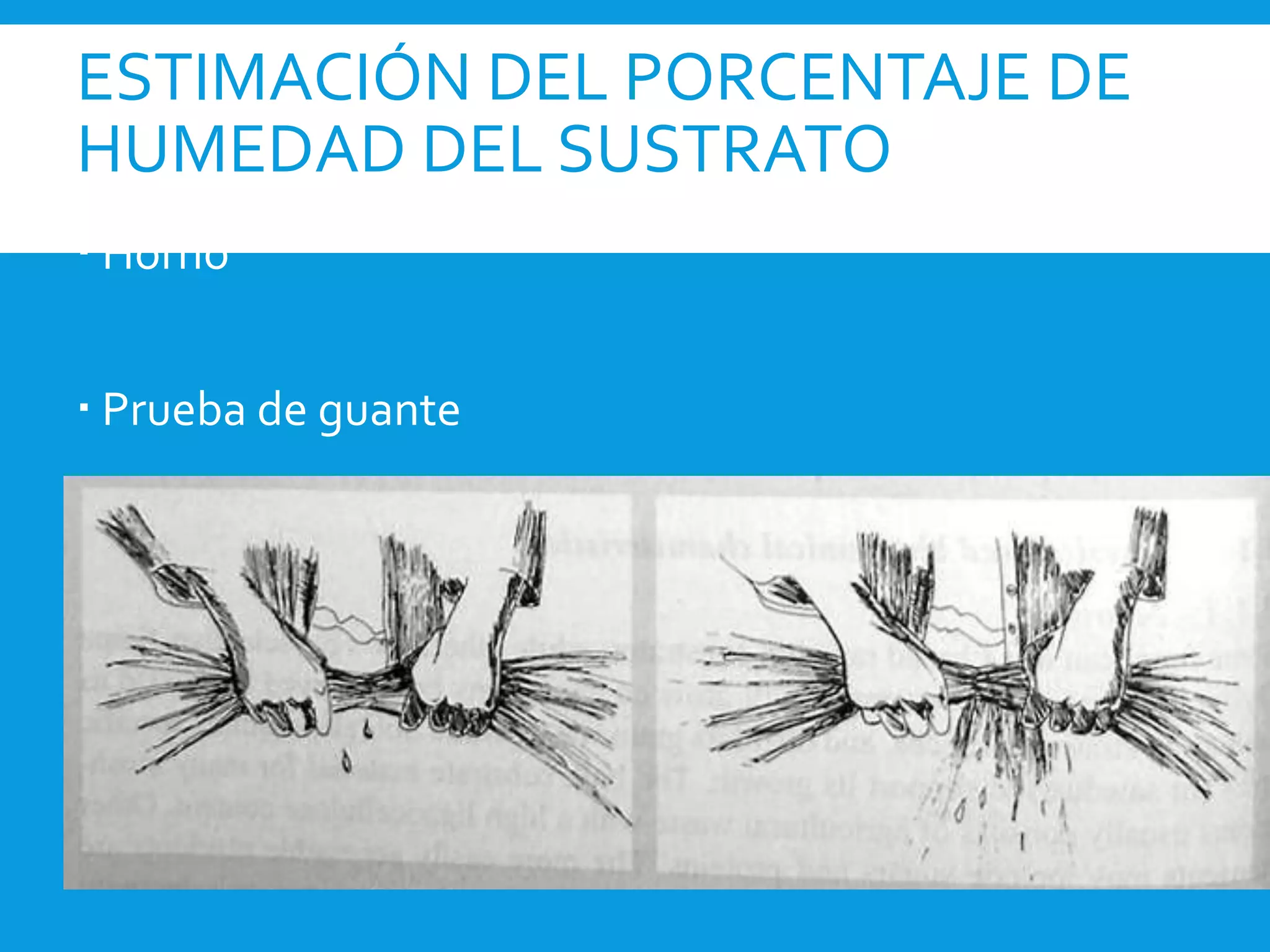 ESTIMACIÓN DEL PORCENTAJE DE
HUMEDAD DEL SUSTRATO
 Horno
 Prueba de guante
 