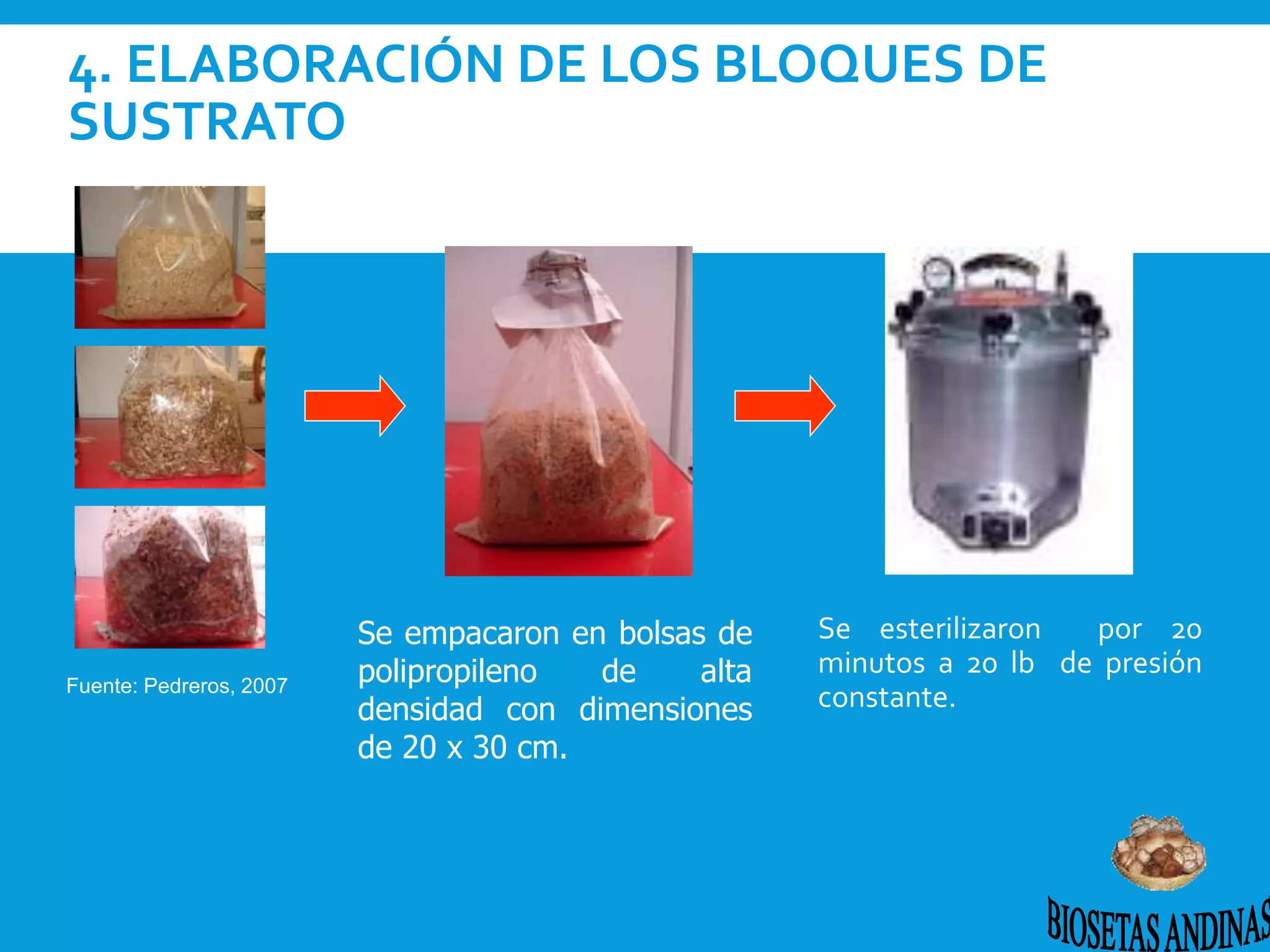 4. ELABORACIÓN DE LOS BLOQUES DE
SUSTRATO
Se esterilizaron por 20
minutos a 20 lb de presión
constante.
Se empacaron en bolsas de
polipropileno de alta
densidad con dimensiones
de 20 x 30 cm.
Fuente: Pedreros, 2007
 