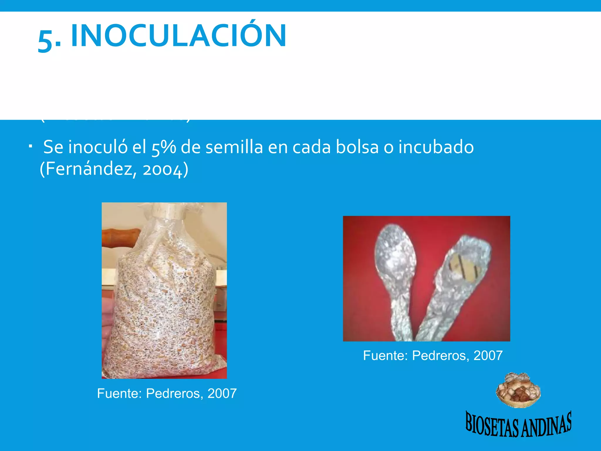 5. INOCULACIÓN
 La semilla fue suministrada por el banco de cepas de la empresa
(Biosetas Andinas)
 Se inoculó el 5% de semilla en cada bolsa o incubado
(Fernández, 2004)
Fuente: Pedreros, 2007
Fuente: Pedreros, 2007
 