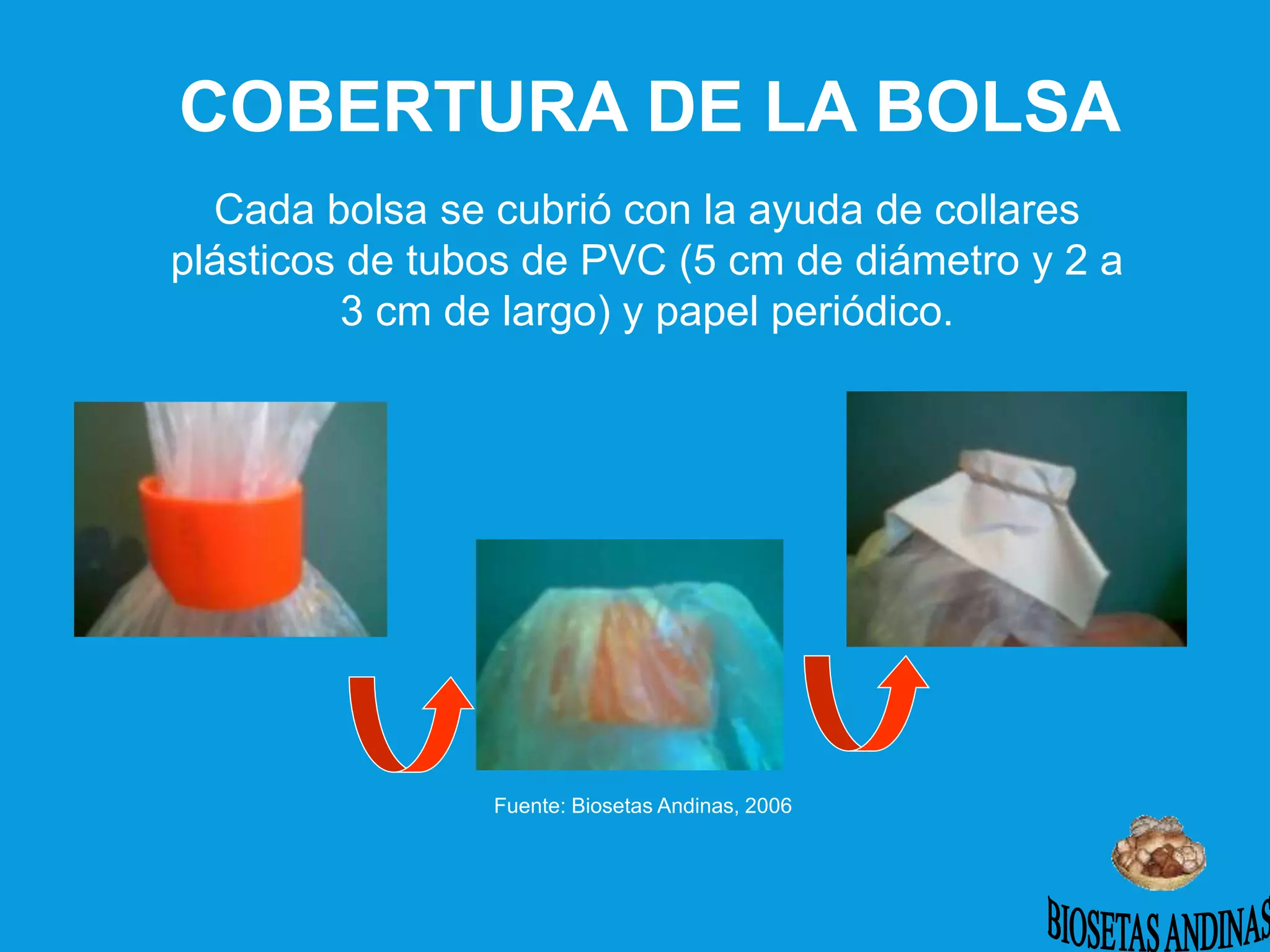 Cada bolsa se cubrió con la ayuda de collares
plásticos de tubos de PVC (5 cm de diámetro y 2 a
3 cm de largo) y papel periódico.
Fuente: Biosetas Andinas, 2006
COBERTURA DE LA BOLSA
 