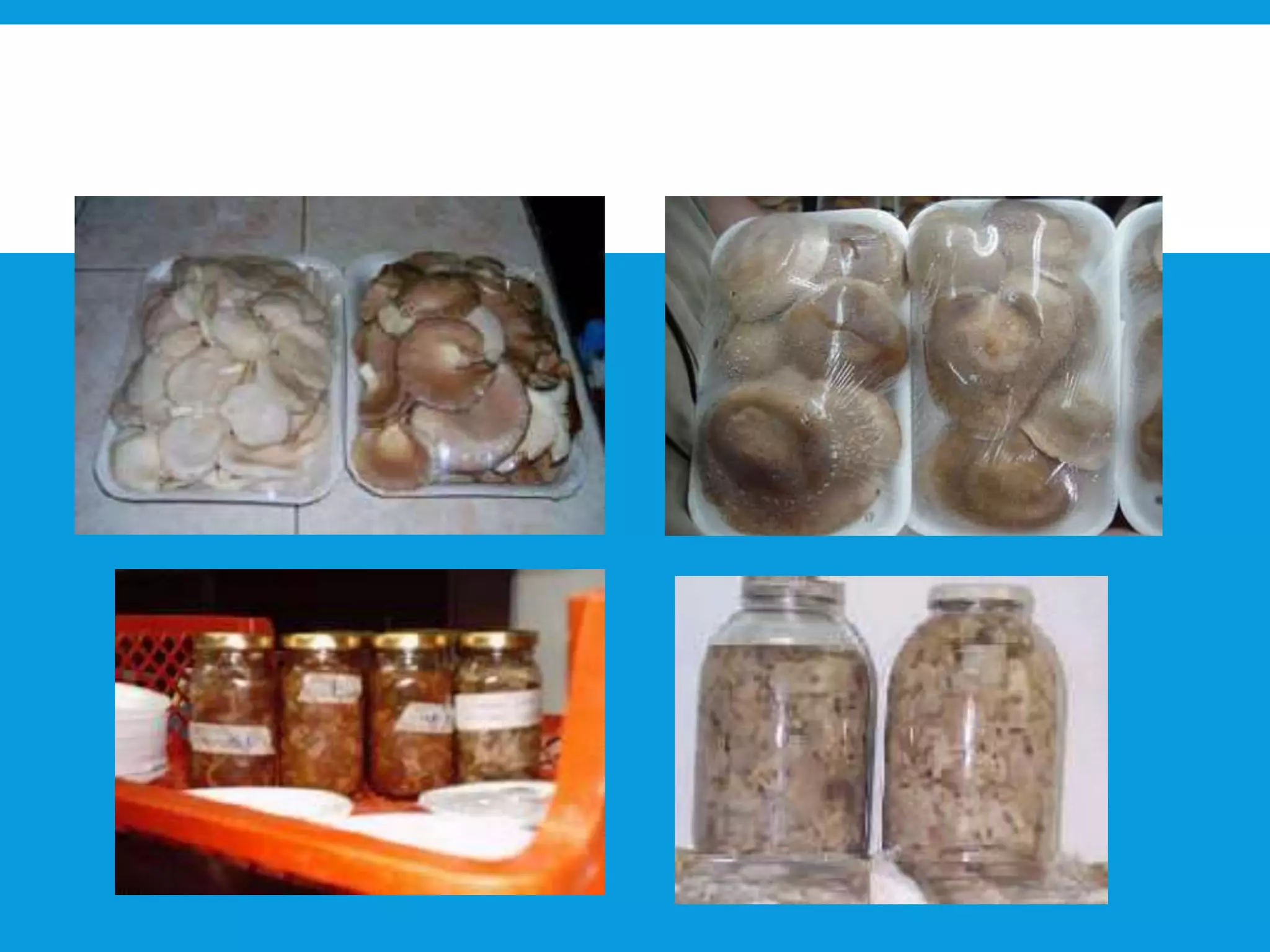 PRESENTACION PARA LA COMERCIALIZACION
 