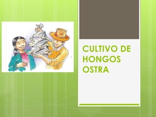 CULTIVO DE
HONGOS
OSTRA
 