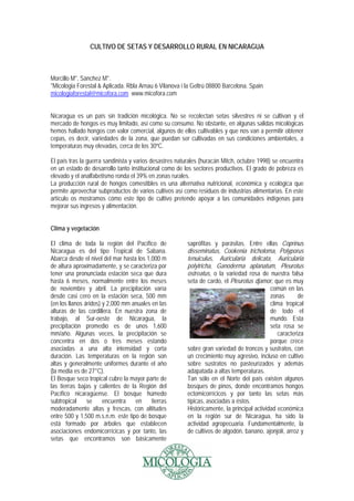 CULTIVO DE SETAS Y DESARROLLO RURAL EN NICARAGUA
Morcillo M*, Sánchez M*.
*Micologia Forestal & Aplicada. Rbla Arnau 6 Vil...