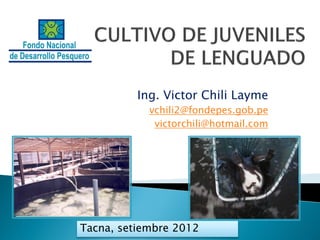 Ing. Victor Chili Layme
            vchili2@fondepes.gob.pe
             victorchili@hotmail.com




Tacna, setiembre 2012
 